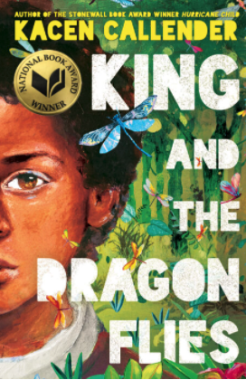 Book cover: King and the dragonflies