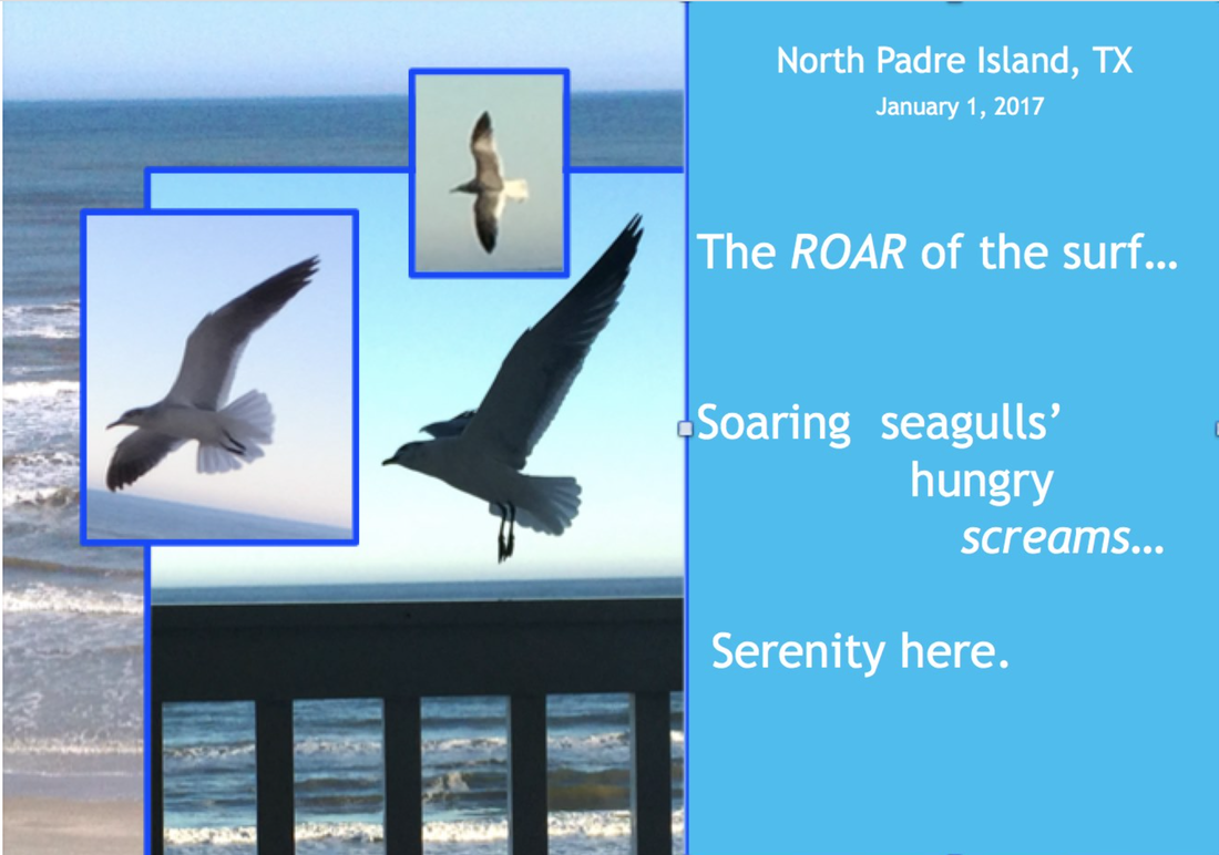 North Padre Island, TX THE ROAR of the surf... Soaring seagulls' hungry screams... Serenity here.