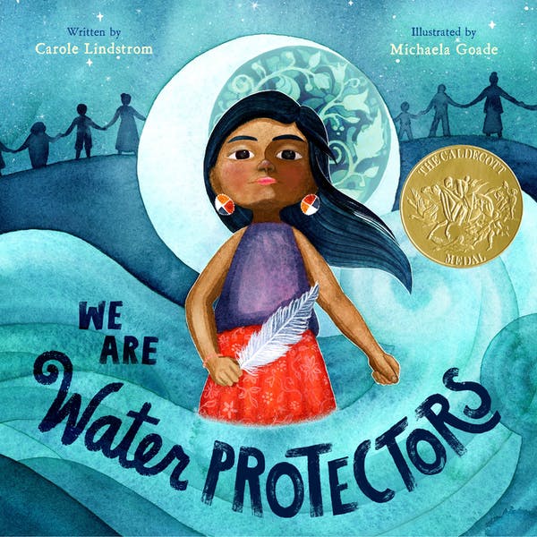 Book cover: We Are Water Protectors